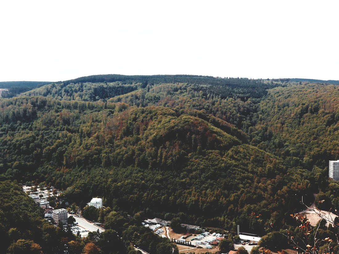 Blick über bewaldete Harzhügel auf Bad Harzburg im Tal